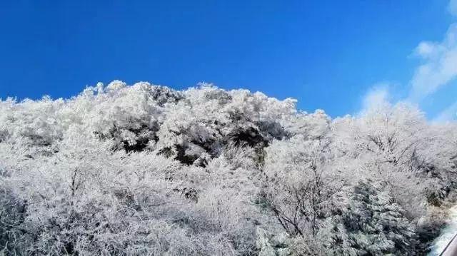 两部级女干部同日履新，都曾任副省长，一人曾任两市“一把手”